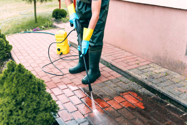 Best Roof Pressure Washing  in Horace, ND